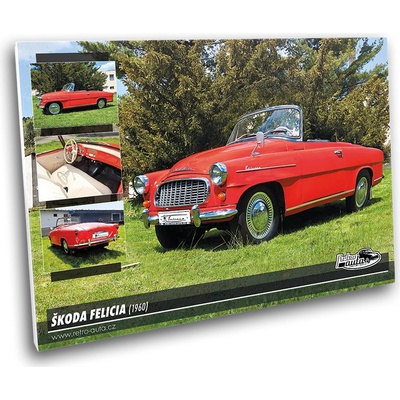 Obraz č. 10 - ŠKODA FELICIA (1960) 100x70 cm