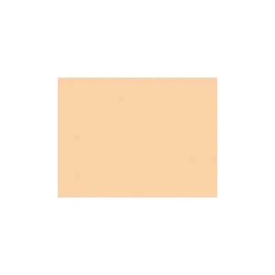 Rosco 205 Half CT orange
