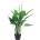 Bizzotto ИЗКУСТВЕНО РАСТЕНИЕ calla 100cm ЗЕЛЕНО (0172497)