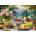 Cherry Pazzi - Puzzle Grape Splendor - 1 000 piese