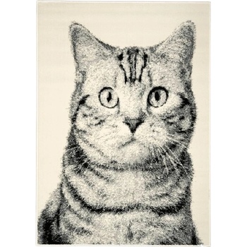 Alfa Carpets Cat Grey Šedá