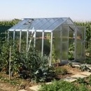Záhradné skleníky Limes Variant J5