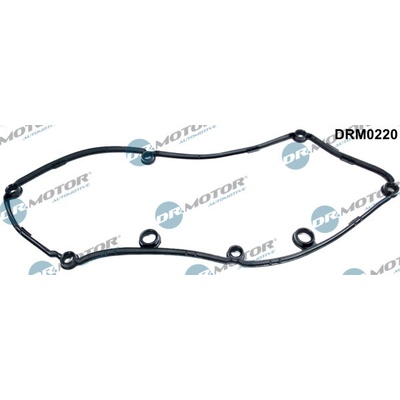 DR.MOTOR AUTOMOTIVE Tesnenie veka hlavy valcov DRM0220