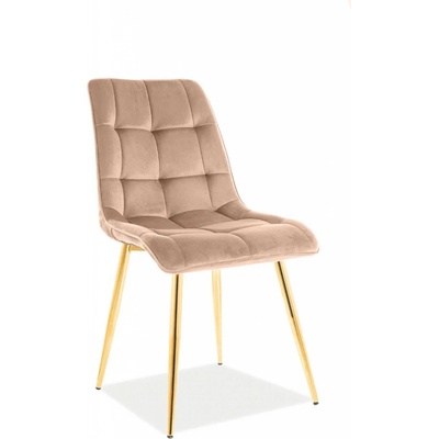 Signal Chic II béžová / zlatá