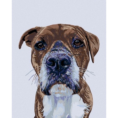 zuty Malování podle číselPsí pohled 40 x 50 cm vypnuté plátno na rám