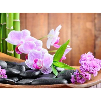 IMPOL TRADE 115V Vliesová fototapeta orchidea rozmer 312 cm x 219 cm