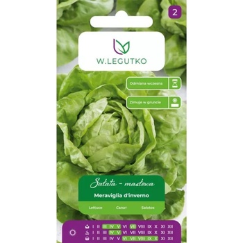 W. Legutko Зимна маруля „Meraviglia d'inverno - зелена, зимуваща
