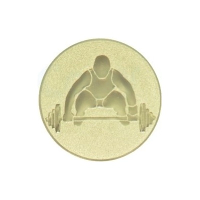 Kovový emblém VZPÍRÁNÍ 040