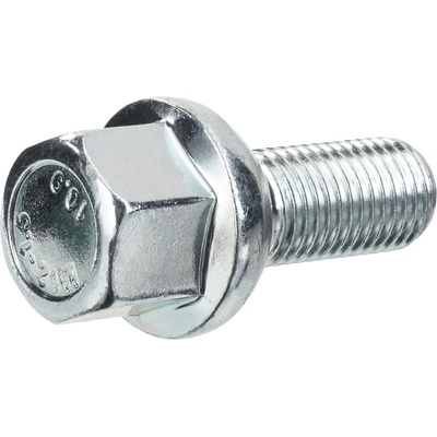 Invento Винтове M12x1, 5, резба 24 mm, с кръгла глава, K 17 (561-5007)