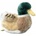Dubi Duck drake 19cm
