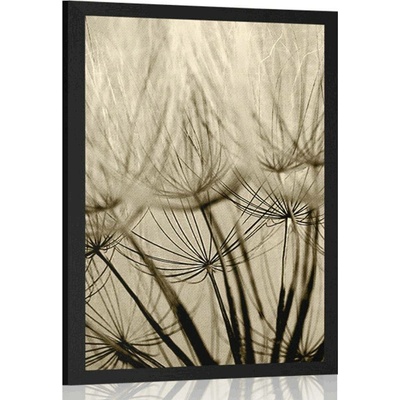 Plakát pampelišková semena v sépiovém provedení - 20x30 black