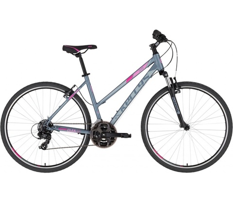 Kellys Clea 10 2022