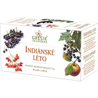 Grešík Indiánské léto 20 x 2 g