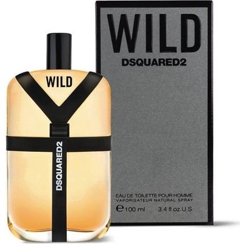 Dsquared2 Wild Toaletná voda pánska 100 ml Tester