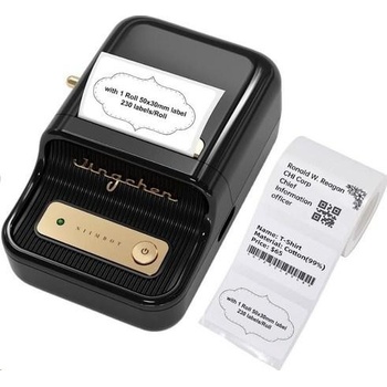 Niimbot B21 Smart černá