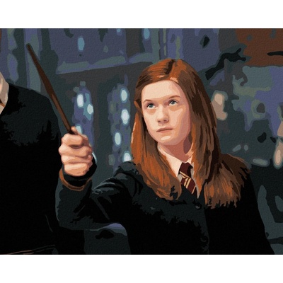zuty Malování Podle Čísel Ginny S Hůlkou Harry Potter 40 x 50 Cm Plátno 8596530240006