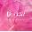 Ed Sheeran - Play (Indie Exclusive) (Gatefold Sleeve) (Pink Coloured) (Signed Photo) (LP) (5021732787460)