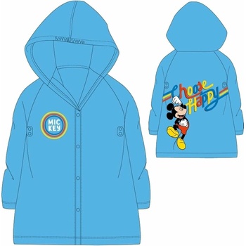 E plus M Mickey Mouse
