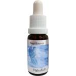 PHI Essences Прочиства гърлената чакра - Есенция Хабухия (Angel Esssence № 9), капки 15 ml (9 ANGEL)