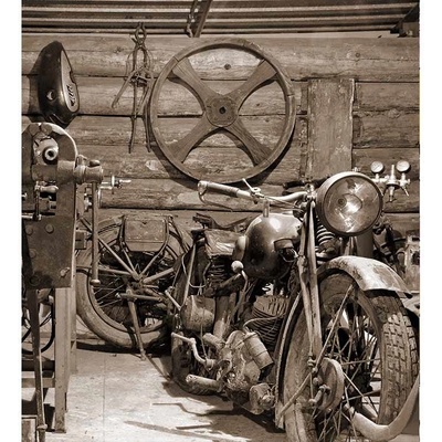 Dimex MS-3-0319 vliesová fototapeta rozměry 225 x 250 cm