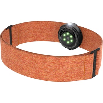 POLAR OH1