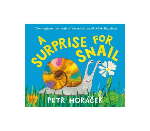 Surprise for Snail