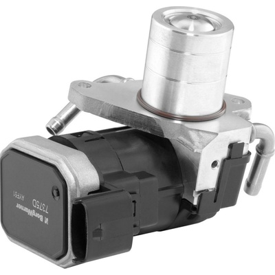 AGR - Ventil BorgWarner (Wahler) 7375D