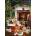 Cobble Hill - Puzzle Christmas Kittens - 1 000 piese