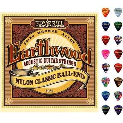 Ernie Ball 2069