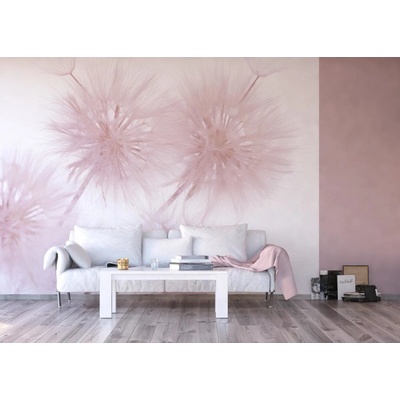 Ag Design FTS-1326 papírová fototapeta Chmíří pampelišek rozměry 360 x 254 cm