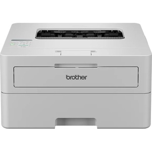 Brother HL-L2865DW (HLL2865DWRE1) Принтери