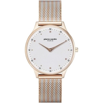 Pierre Cardin PC902722F204