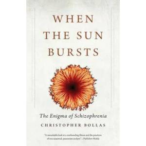 When the Sun Bursts | Christopher Bollas (2017)