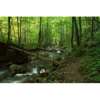 DIMEX ART Флизелинов фототапет горски поток 375 x 250 см