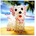FLUKE: PUPPY LP