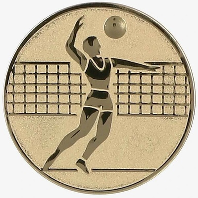 Volejbal Muži Emblém Nálepka na trofej Ø 25 mm zlatá