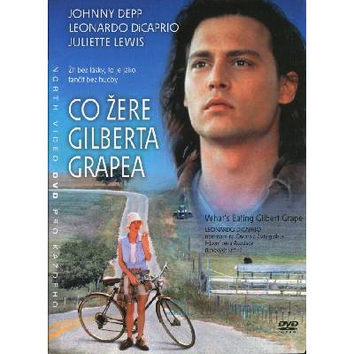 DM discont Защо тъгува Гилбърт Грейп - dvd (052483)