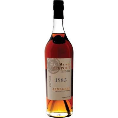 Marcel Trépout Vintage Armagnac 1985 40% 0,7 l (holá láhev)