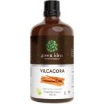 Green idea Котешки нокът + витамин С 100 ml тинктура | Green Idea (613356 (61335) GI)