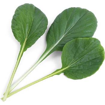 Veritable Вложка за семена Lingot Smaki Azji Tatsoi (VLIN-S10-Tat02B)