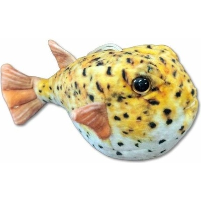 ryba čtverzubec 20 cm