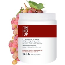 Trend Up Color Lock Maska 1000 ml