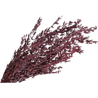 Stabilizované eukalyptové listy Parvifolia 100g - bordové