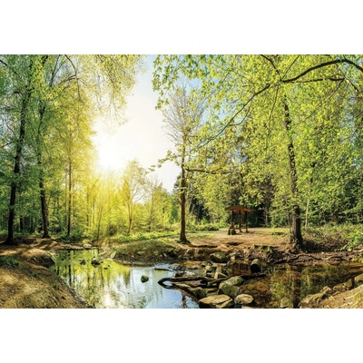 Postershop Fototapeta vliesováLesní potok 3, rozměry 254x368 cm