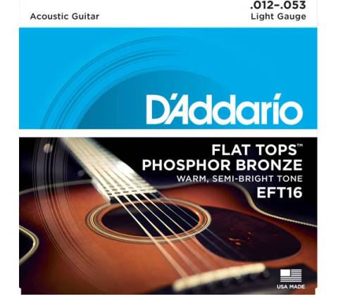 DAddario EFT16