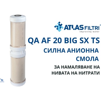 Atlas Filtri Atlas QA AF 20 BIG SX TS Контейнер със силна анионна смола за намаляване на нитрати 20" BIG (RA5357625)