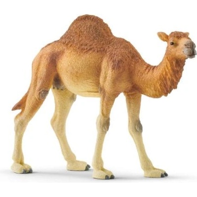 Schleich Дромедар (14832)
