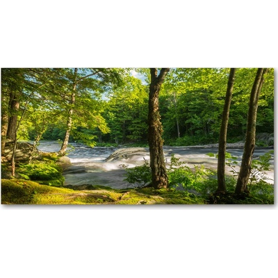 Foto obraz sklenený horizontálny Rieka v lese 100x50 cm