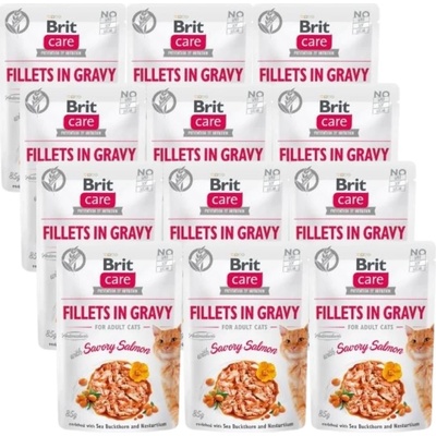 Brit CARE Пакети за котки Филе в сос с ароматен сьомга 12x85г