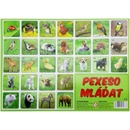 Pexeso Mláďata